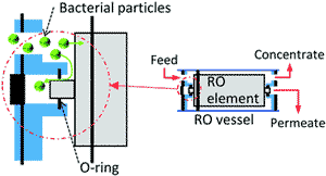 prevent microbial pollution-reverse osmosis membrane